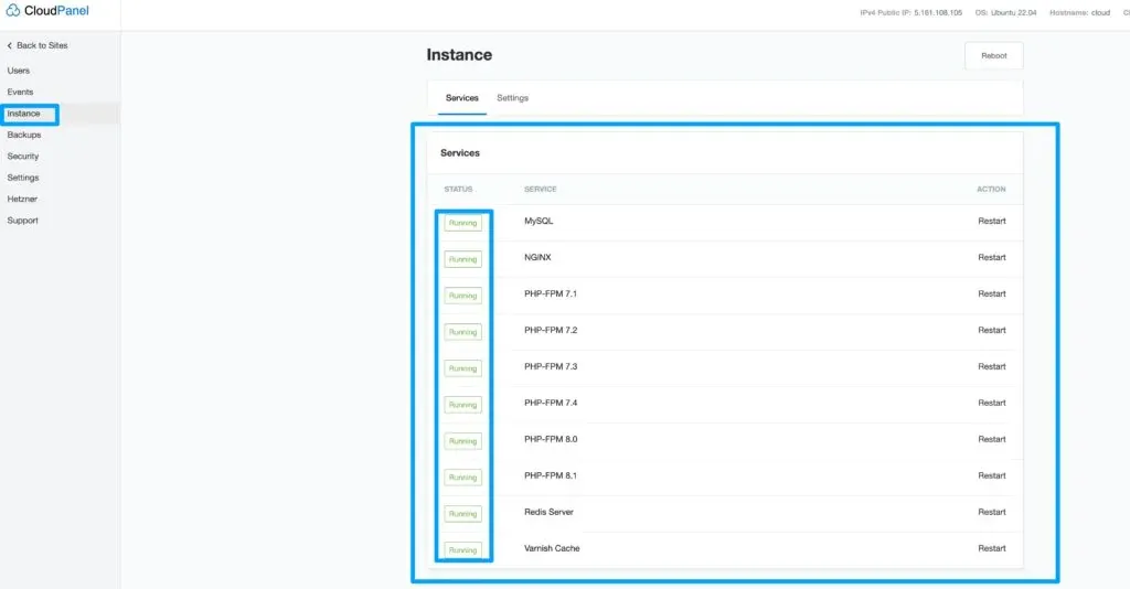 CloudPanel services status all running