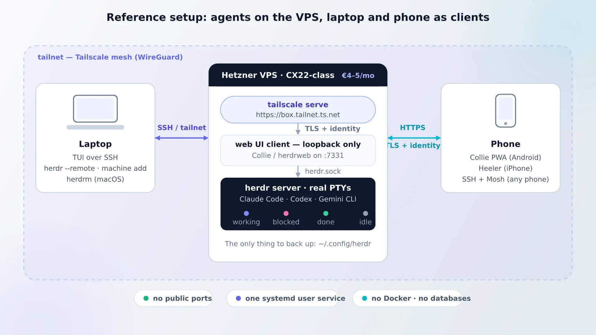 Architecture of the reference Herdr setup: agents on a Hetzner VPS, phone and laptop as clients over Tailscale