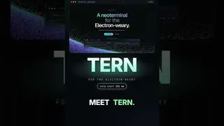 Tern: Your Terminal Sessions Outlive the Windowfinal short