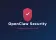 OpenClaw Security Guide: CVE-2026-25253, Malicious Skills, and 40+ Fixes