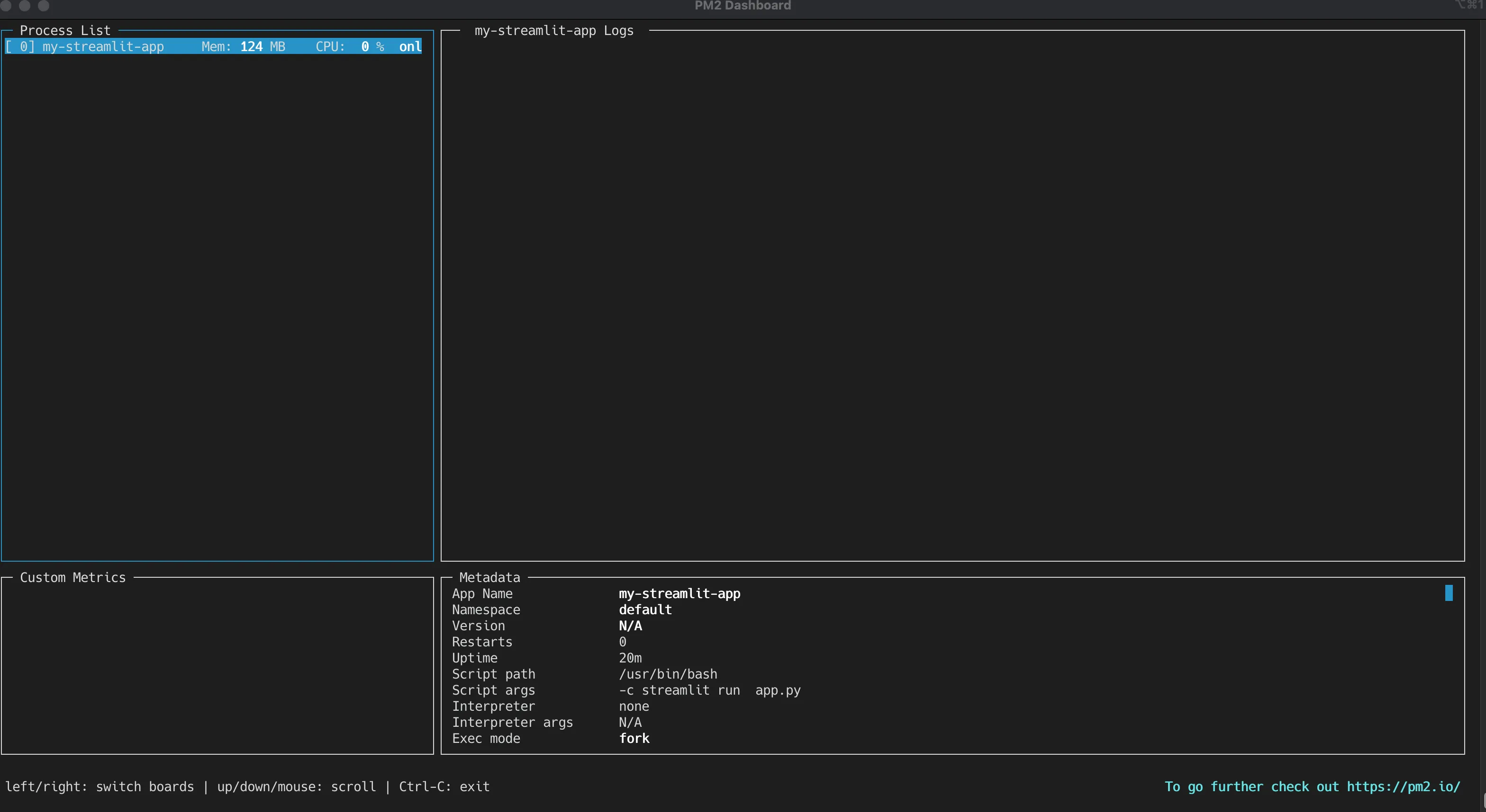 PM2 process manager terminal dashboard showing CPU, memory, and process metrics