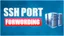 How To Do SSH Port Forwarding (SSH Tunneling) in Linux