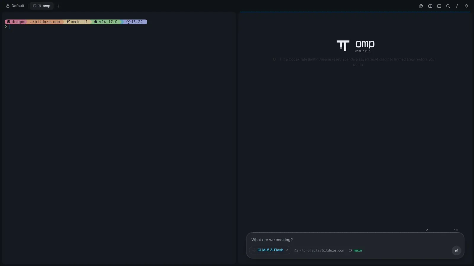 An omp agent block inside Tern: model picker, 1M context meter, prompt input